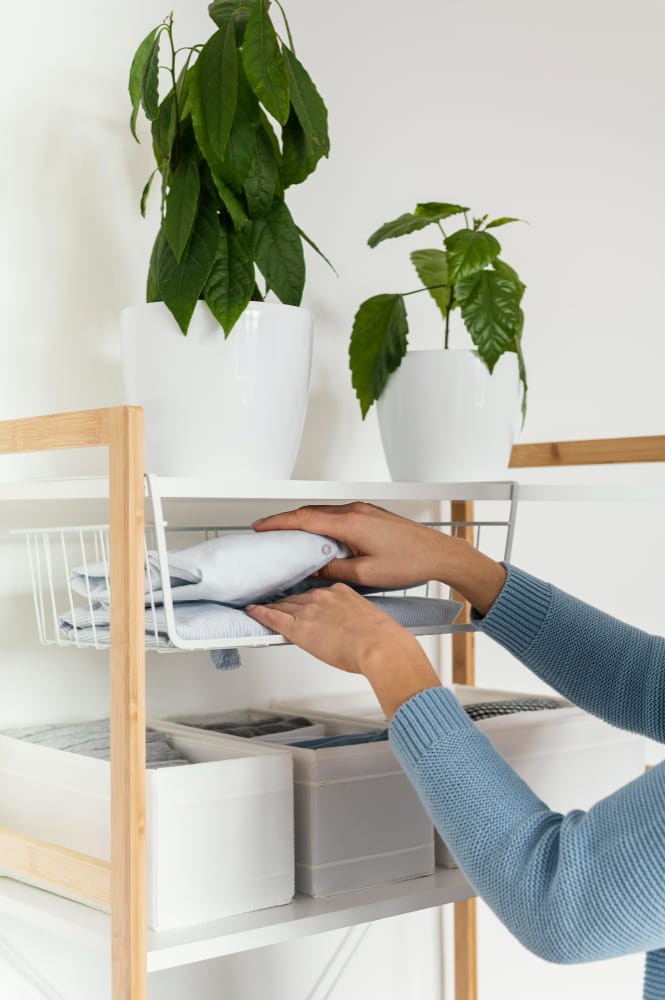 Verdades e Mitos Sobre a Organização: O Que Você Precisa Saber